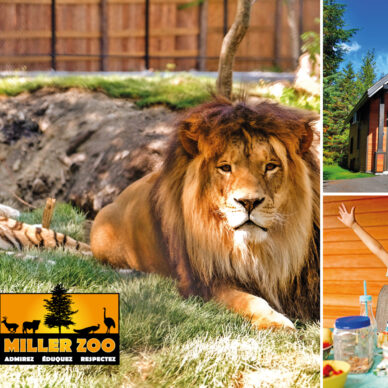 Le Miller Zoo en famille